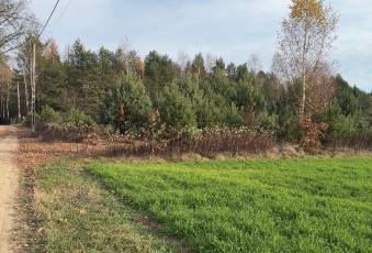 Działka na sprzedaż Zatory  830313