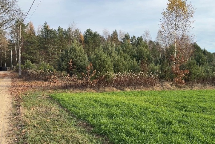 Działka na sprzedaż w Zatory Kruczy Borek  o powierzchni 1150 mkw