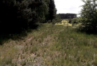 Działka sprzedaż Zatory Kruczy Borek 1150 mkw Działka Sprzedam mazowieckie Zatory Kruczy Borek-2