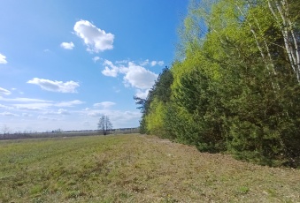Działka sprzedaż Warka Borowe 1383 mkw Działka Sprzedam mazowieckie Warka -1