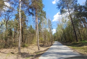Działka sprzedaż Warka Borowe 1383 mkw Działka Sprzedam mazowieckie Warka -2
