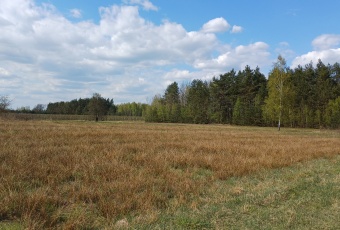 Działka sprzedaż Warka Borowe 1383 mkw Działka Sprzedam mazowieckie Warka -3