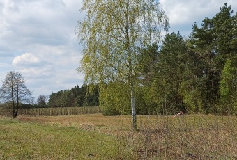 Działka sprzedaż Warka Borowe 1383 mkw Działka Sprzedam mazowieckie Warka -3