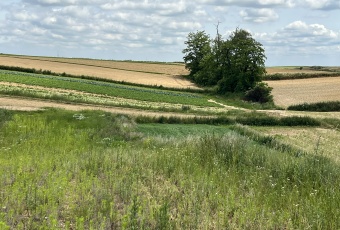 Działka Sprzedam małopolskie Igołomia-Wawrzeńczyce -2