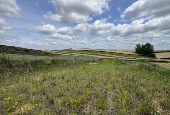 Działka Sprzedam małopolskie Igołomia-Wawrzeńczyce -3