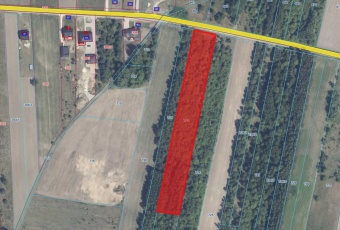 Działka sprzedaż Końskie Sierosławice 20600 mkw Działka Sprzedam świętokrzyskie Końskie -2