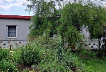 Dom Sprzedam wielkopolskie Kobyla Góra Bierzów-3