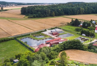 Komercja Sprzedam dolnośląskie Paszowice Bolkowice-3