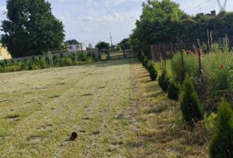 Działka sprzedaż Stare Babice Stare Babice Sienkiewicza 1104 mkw Działka Sprzedam mazowieckie Stare Babice Stare Babice-2