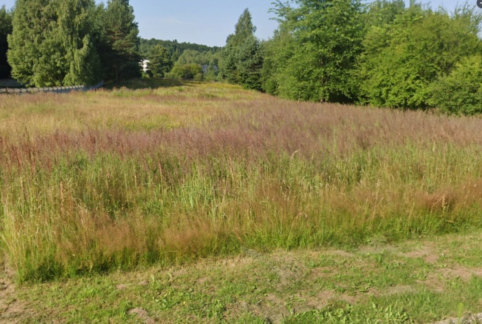 Działka na sprzedaż w Zagnańsk  Siodła o powierzchni 9600 mkw