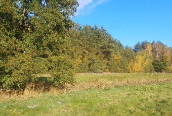 Działka na sprzedaż Warka  837723